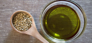 konoplja ulje konoplja semena cannabis sativa, omega 6,omega 3 masne kiseline, gama linoleinska kiselina, stearidonska kiselina,polinezasićene masne kiseline